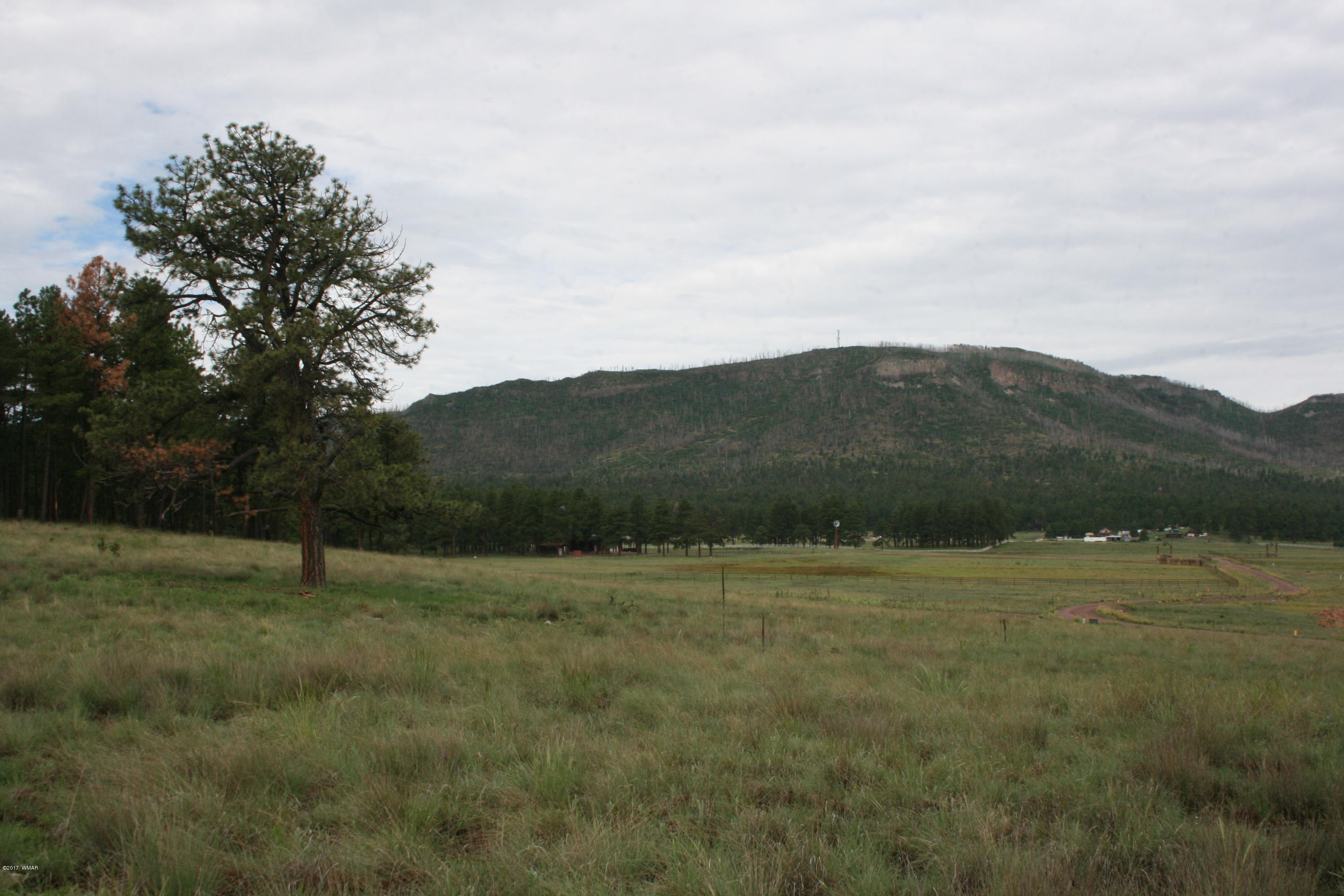 1 T Co Road Alpine, AZ 85920 - Photo 27 of 35