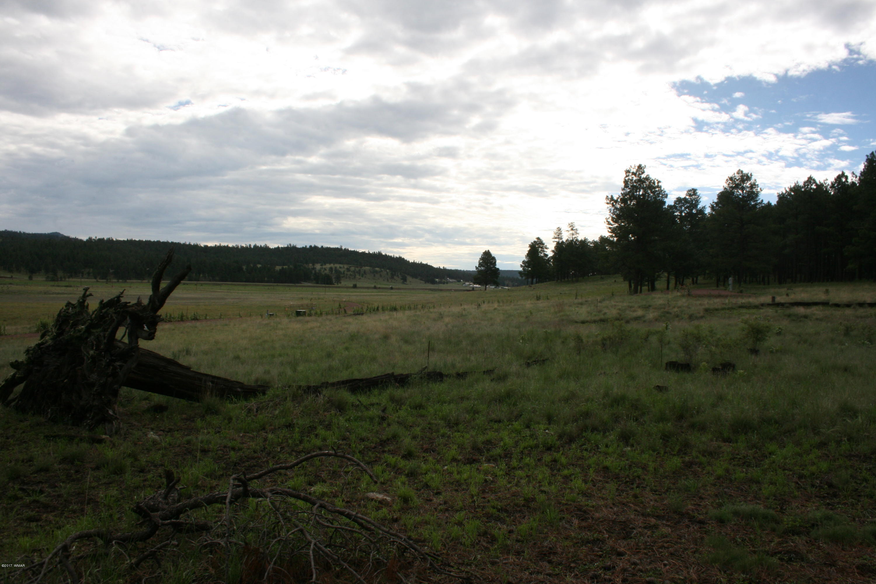 1 T Co Road Alpine, AZ 85920 - Photo 28 of 35