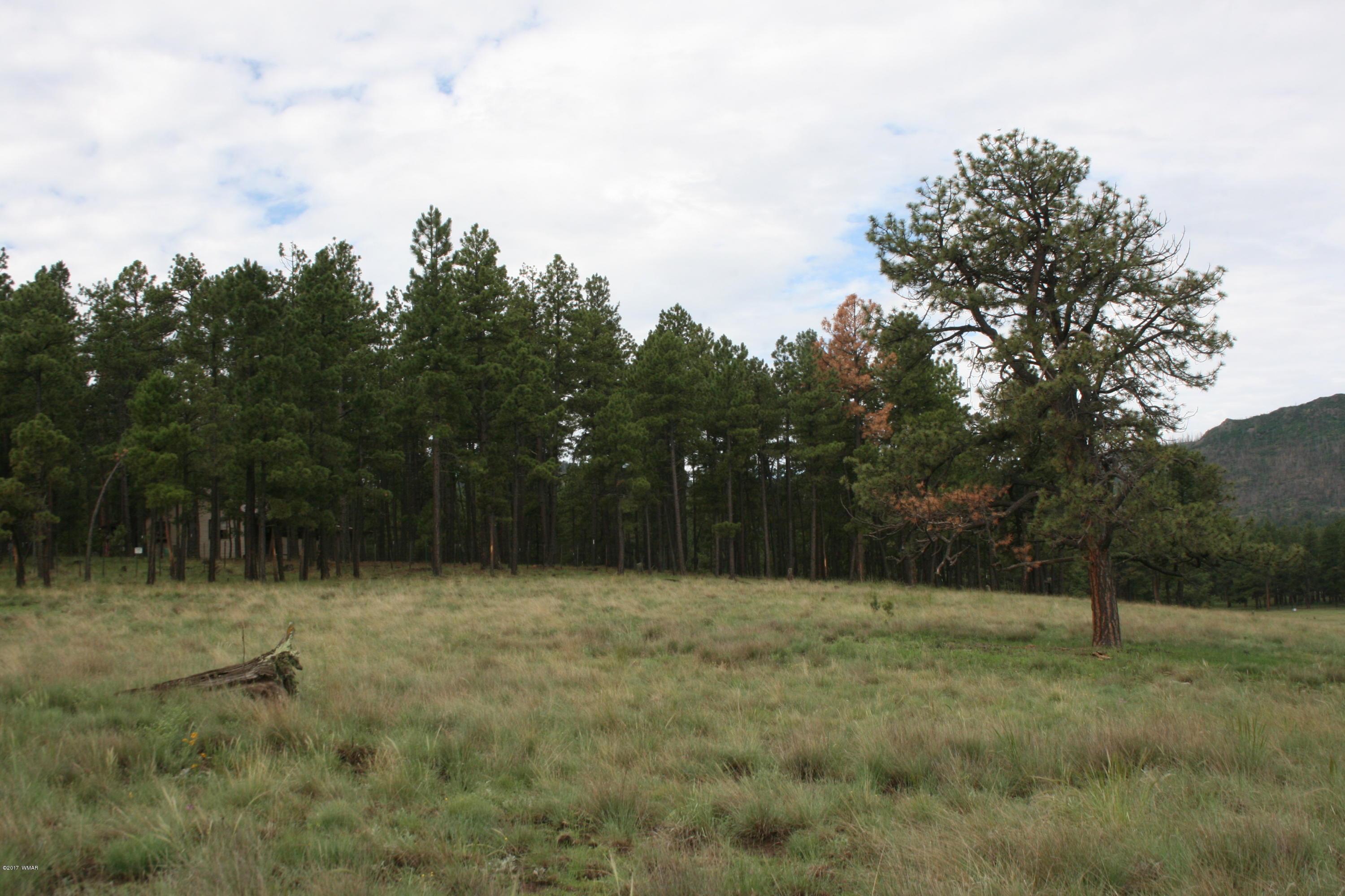 1 T Co Road Alpine, AZ 85920 - Photo 29 of 35