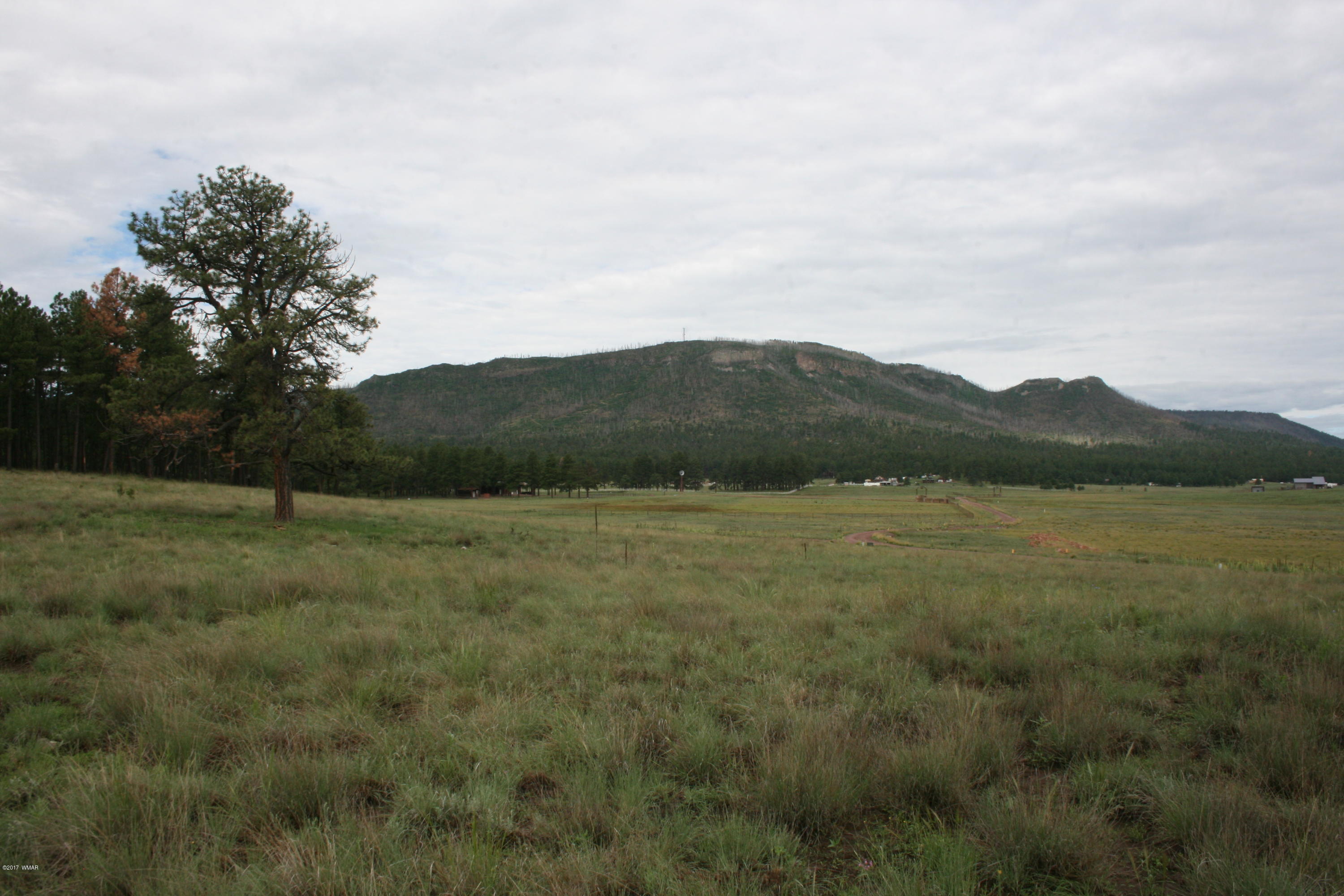1 T Co Road Alpine, AZ 85920 - Photo 30 of 35
