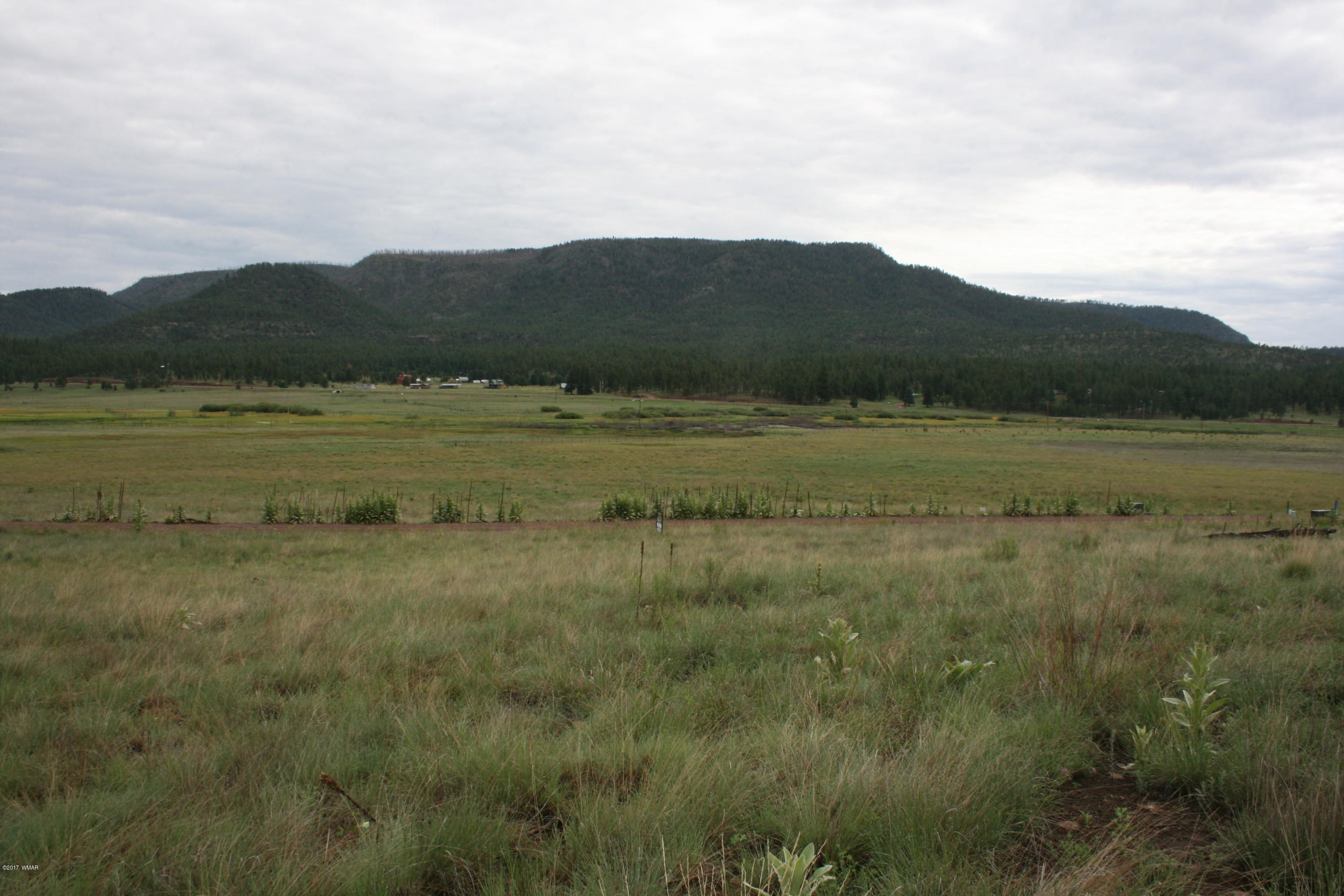 1 T Co Road Alpine, AZ 85920 - Photo 31 of 35