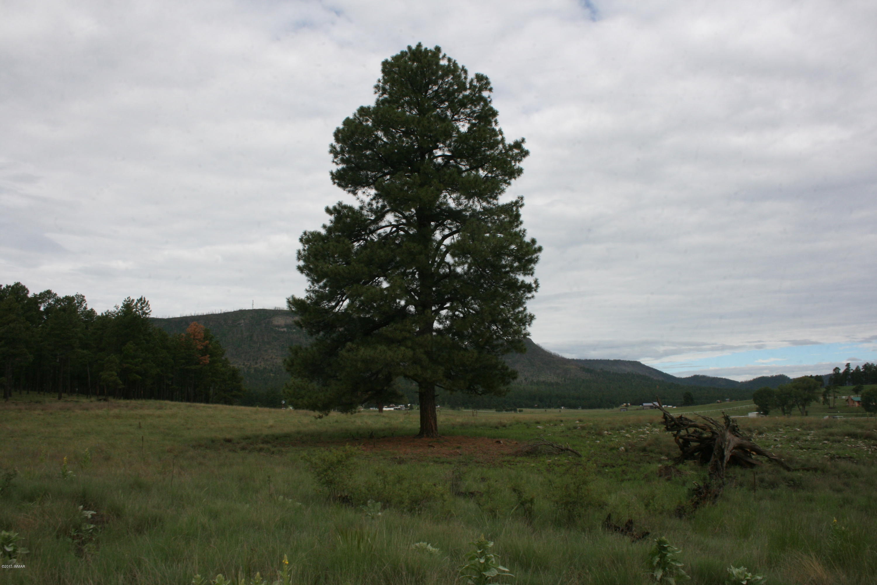 1 T Co Road Alpine, AZ 85920 - Photo 33 of 35