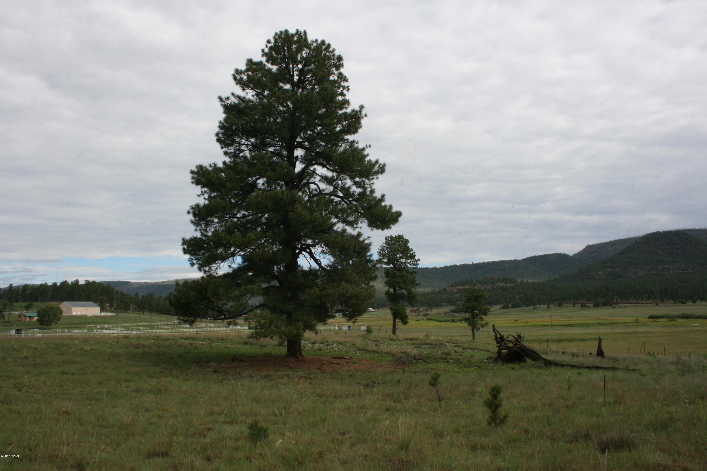 1 T Co Road Alpine, AZ 85920 - Photo 34 of 35