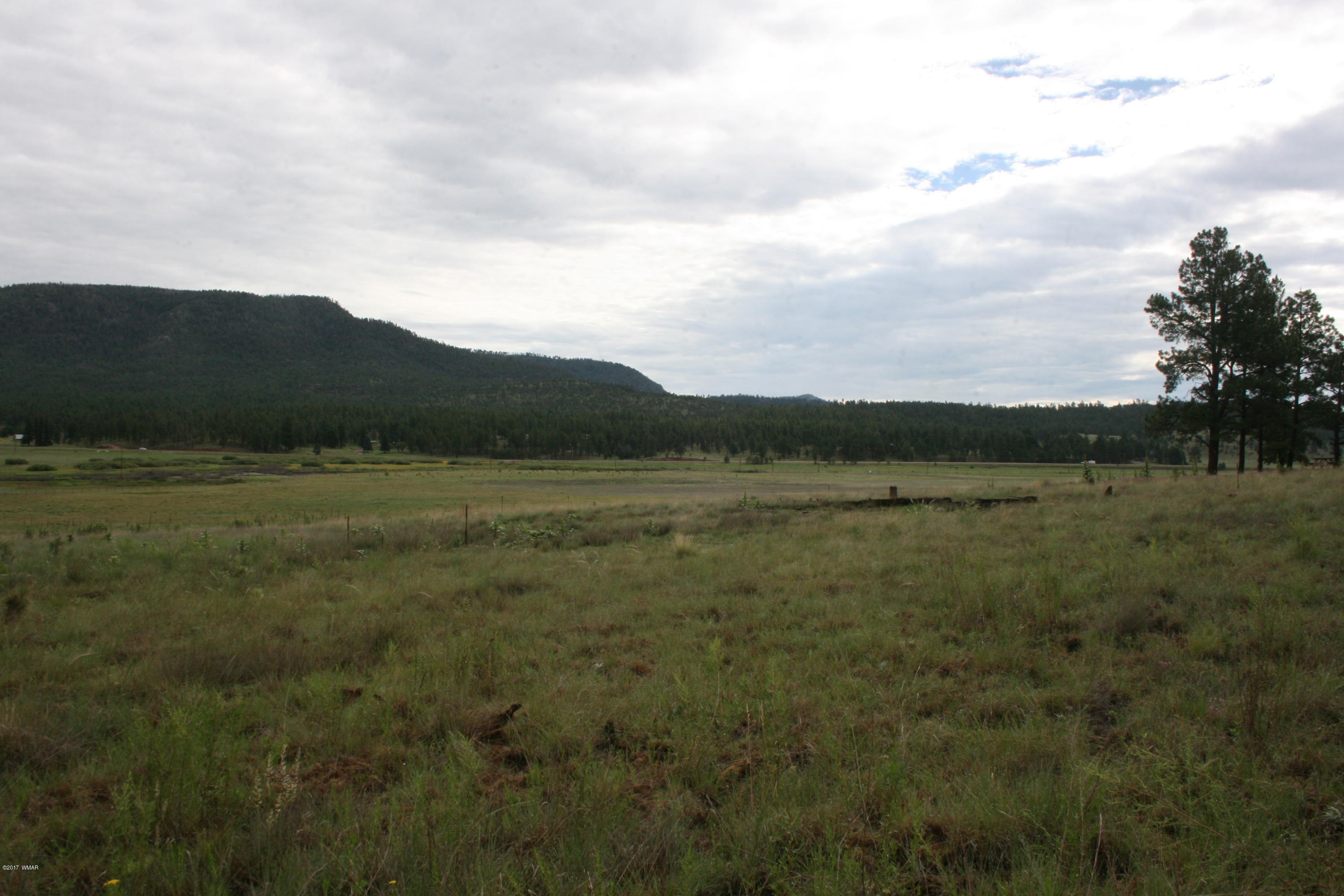 1 T Co Road Alpine, AZ 85920 - Photo 35 of 35