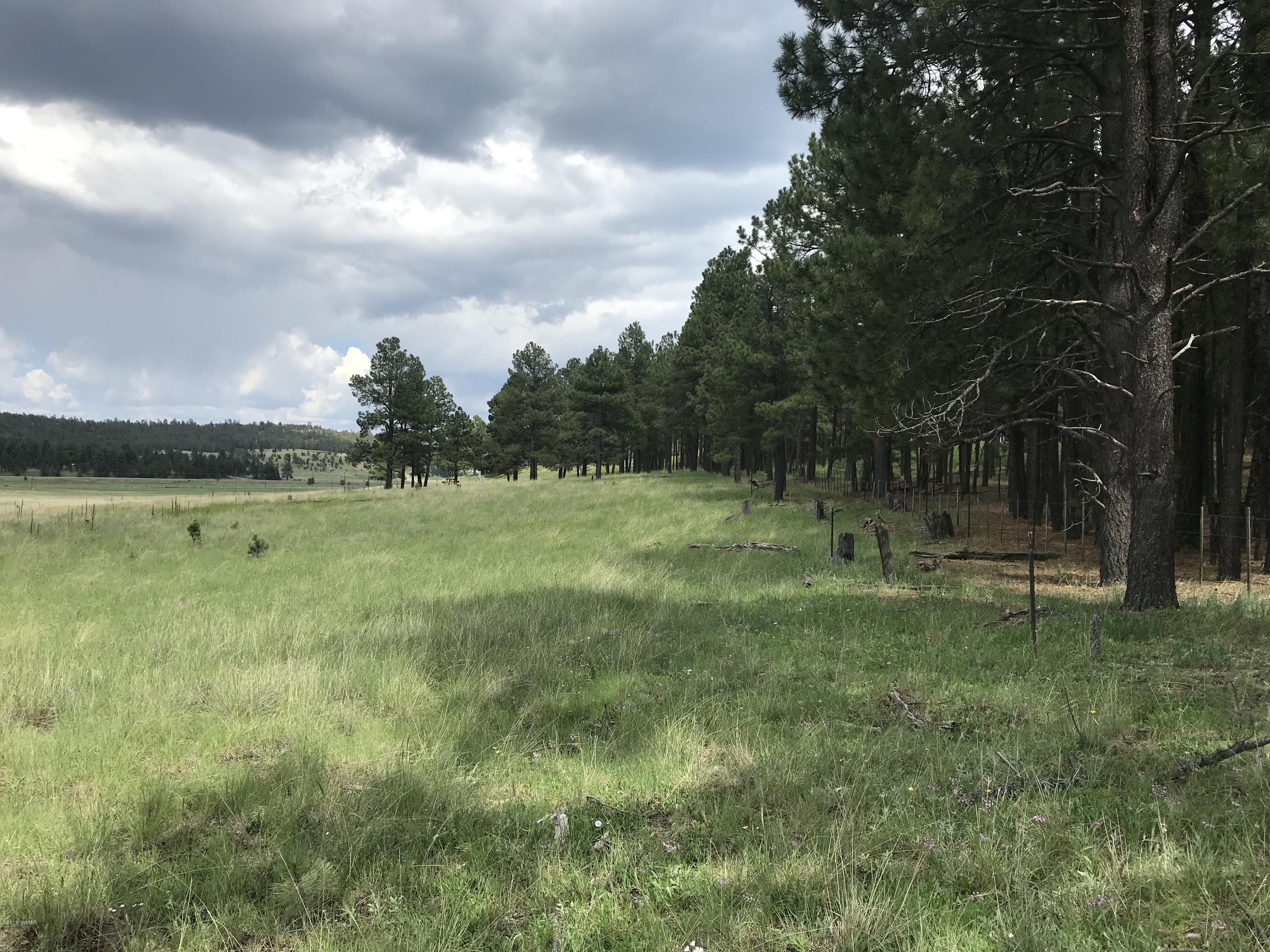 1 T Co Road Alpine, AZ 85920 - Photo 5 of 35