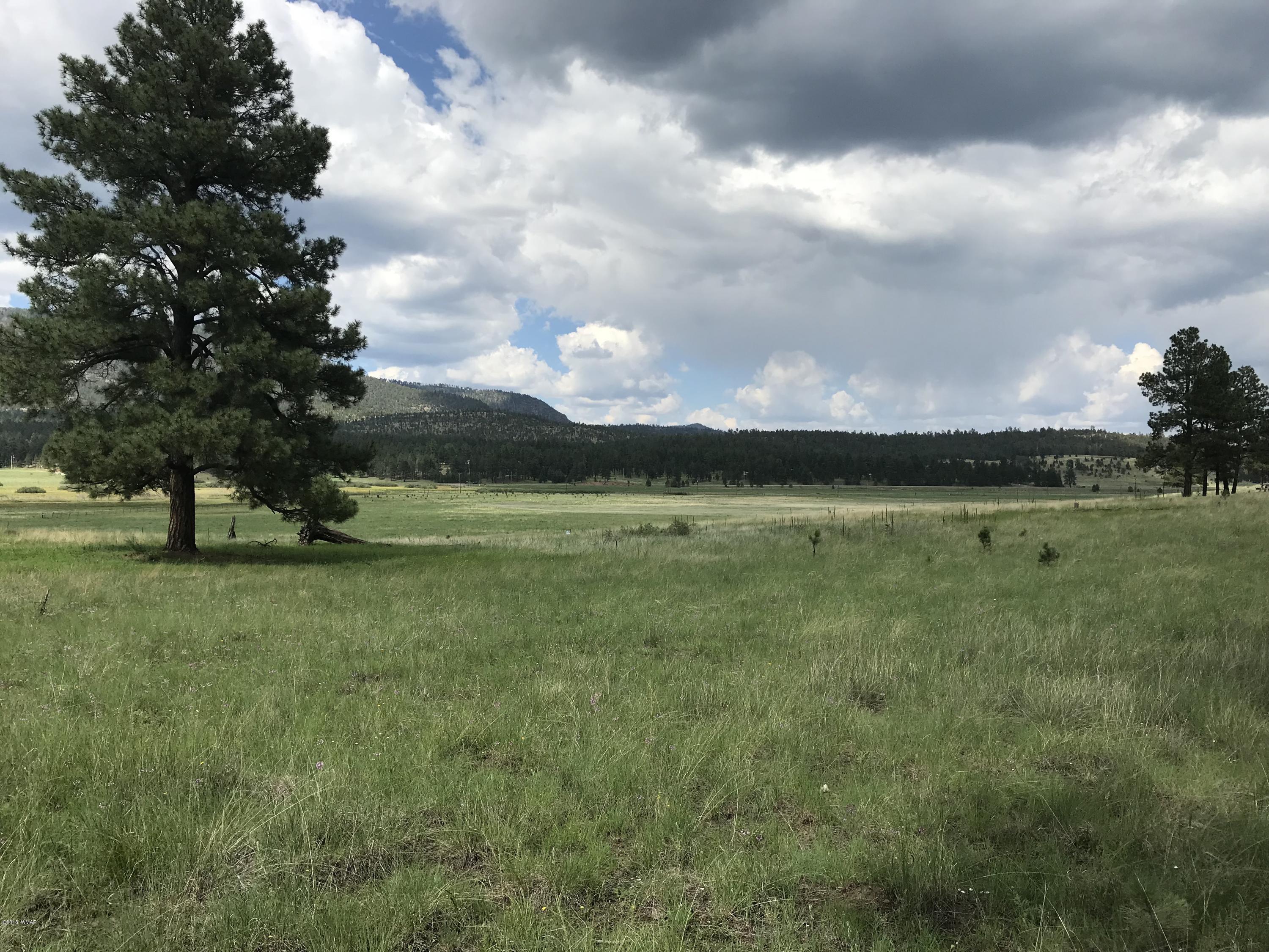 1 T Co Road Alpine, AZ 85920 - Photo 6 of 35