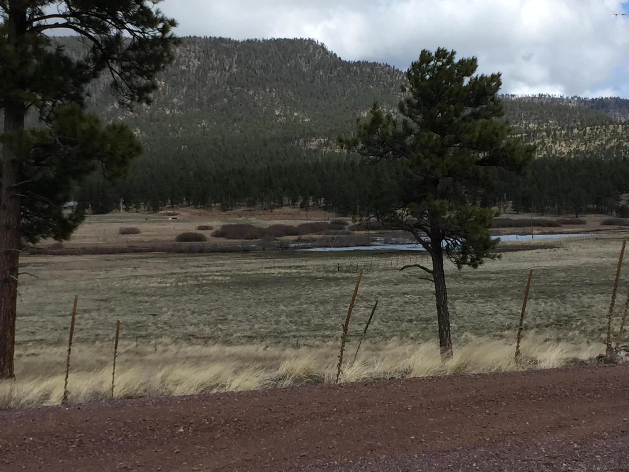 1 T Co Road Alpine, AZ 85920 - Photo 10 of 35
