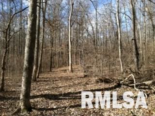 0 Suchman Road Ava, IL 62907 - Photo 1 of 14