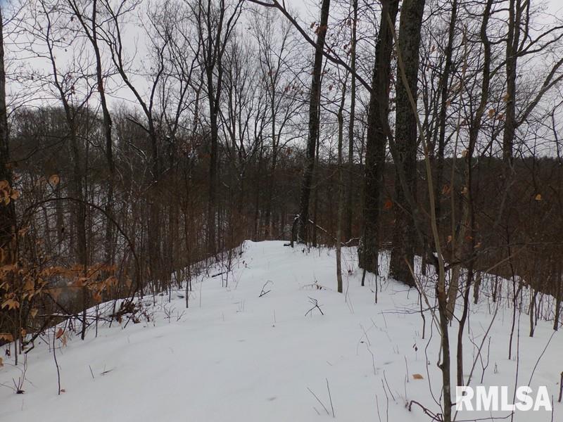 0 Suchman Road Ava, IL 62907 - Photo 11 of 14