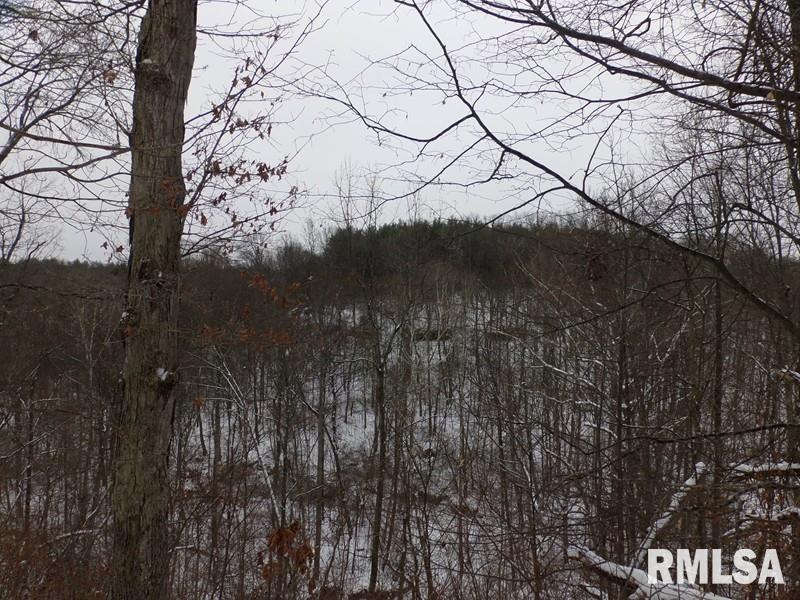 0 Suchman Road Ava, IL 62907 - Photo 12 of 14