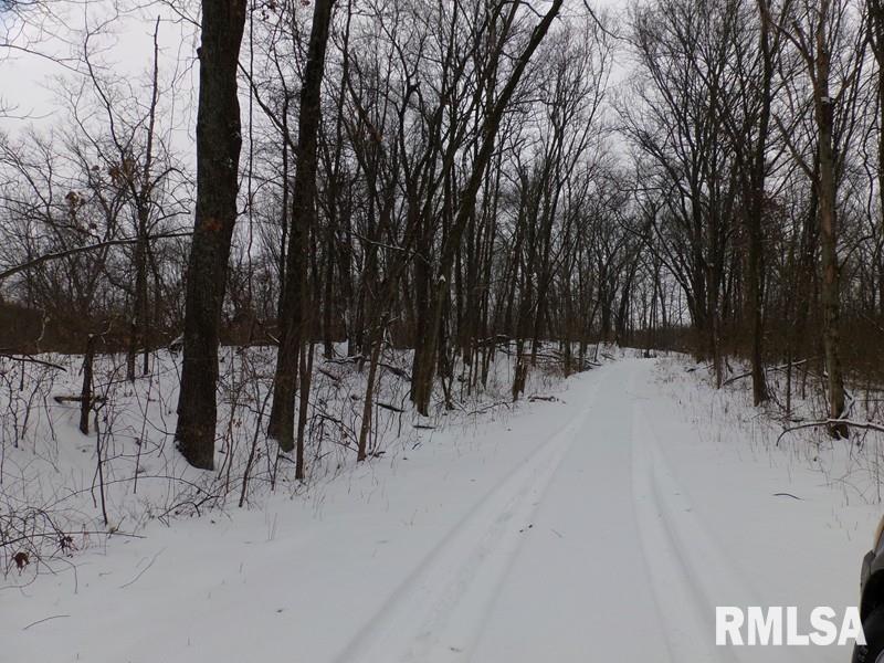 0 Suchman Road Ava, IL 62907 - Photo 13 of 14
