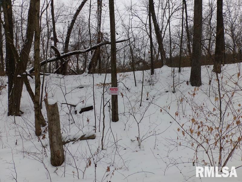 0 Suchman Road Ava, IL 62907 - Photo 14 of 14