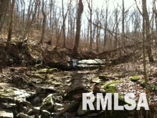 0 Suchman Road Ava, IL 62907 - Photo 2 of 14