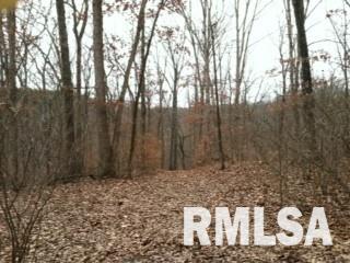 0 Suchman Road Ava, IL 62907 - Photo 3 of 14