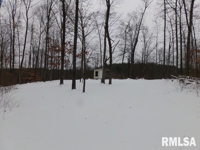 0 Suchman Road Ava, IL 62907 - Photo 9 of 14
