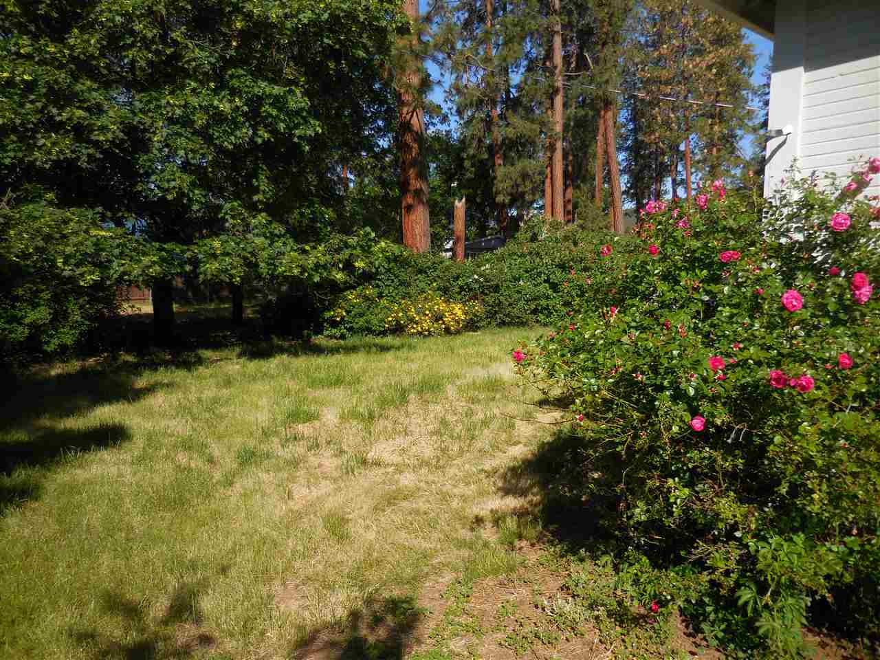 2435 Fort Jones Road Yreka, CA 96097 - Photo 2 of 13 Gallery Image 2