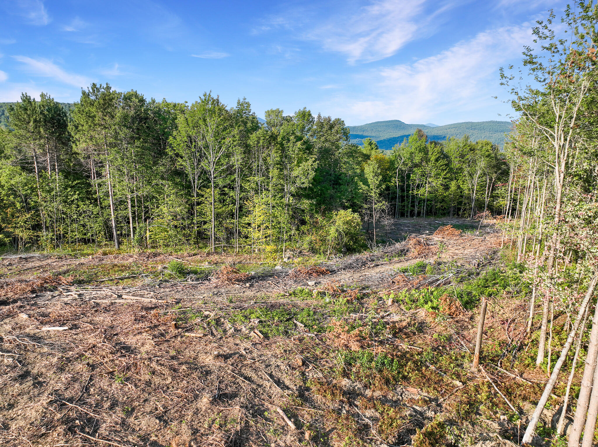 Lot # Eaton Hill Road Rumford, ME 04276 - Photo 4 of 17 8