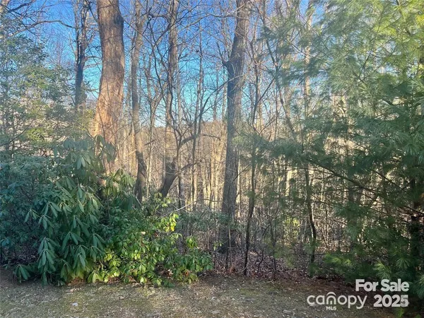 $55,000 | 129 Pinnacle Peak Lane, Flat Rock, NC 28731