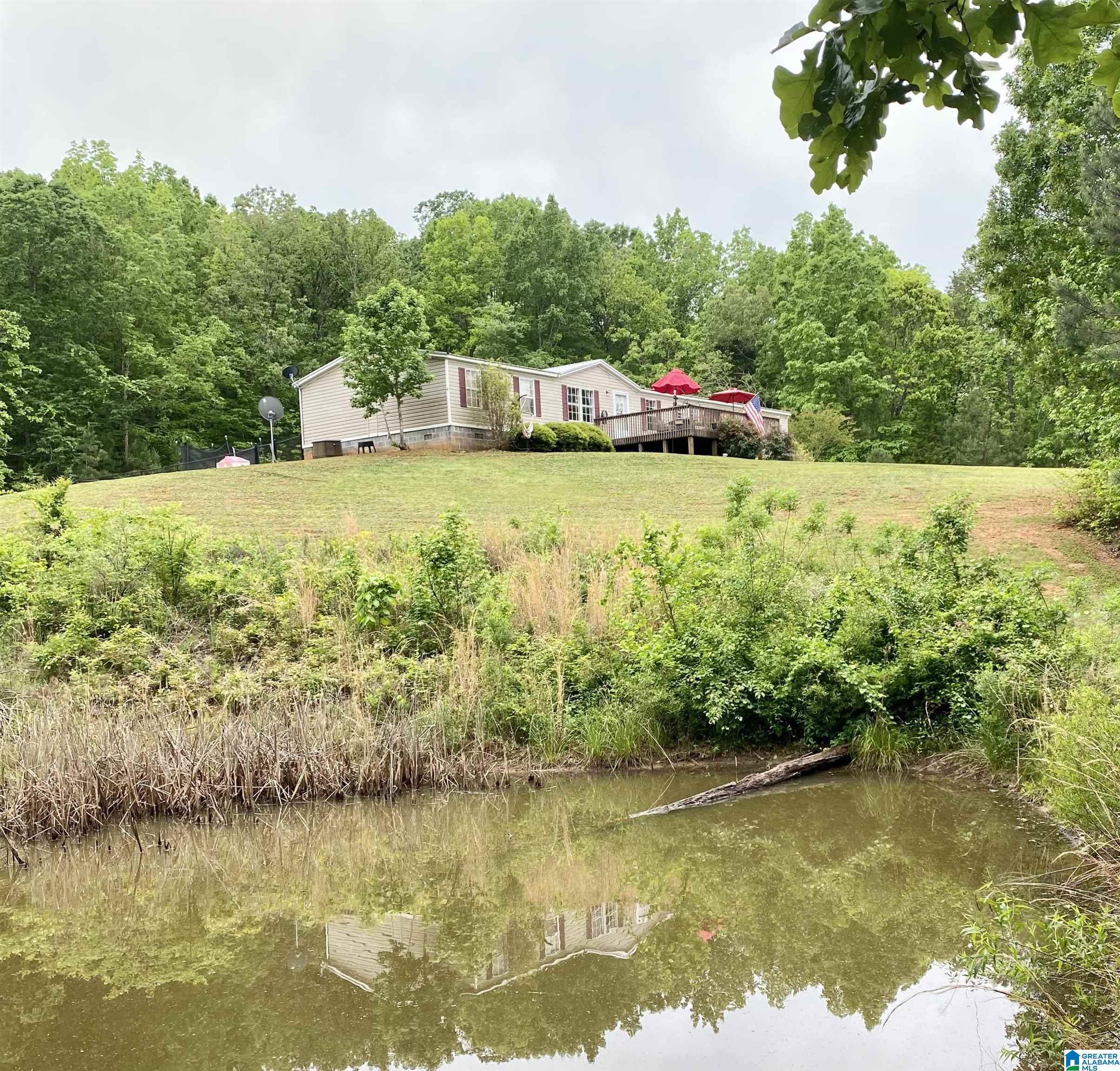 3041 Allison Mill Road Talladega, AL 35160 - Photo 1 of 37