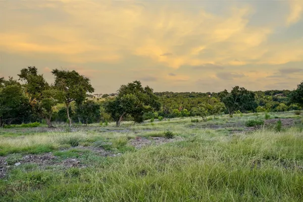 a view of a lush green space with sea