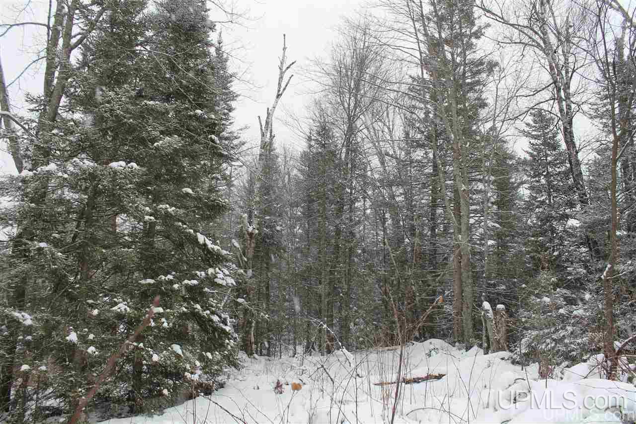 Tbd Off Fr 5252 - (the Interior Road Watersmeet, MI 49969 - Photo 20 of 27 Gallery Image 20
