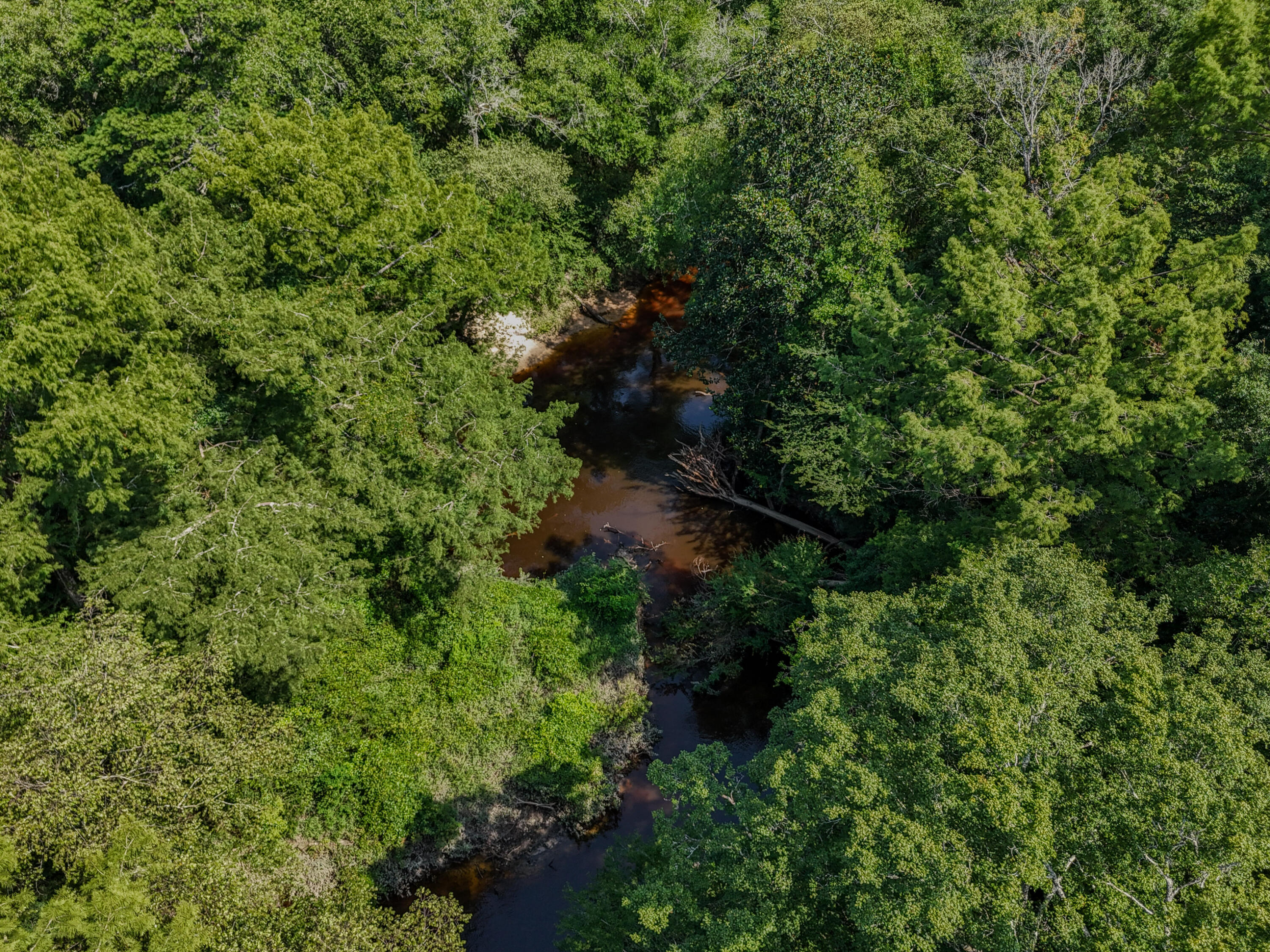 3128 County Road 10 Samson, AL 36477 - Photo 52 of 67 DJI_20260630231916_0046_D