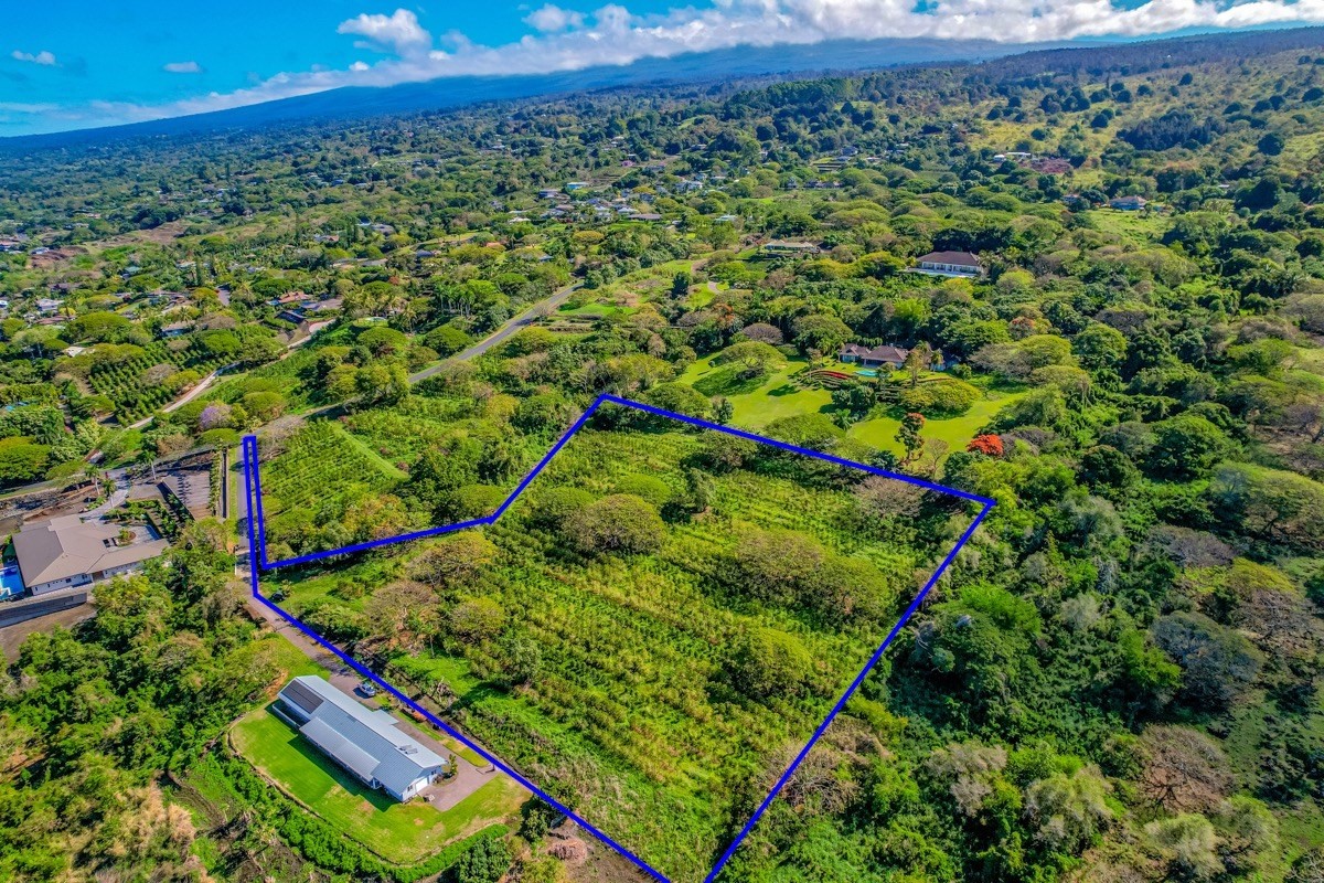 77-6307 Kaumalumalu Drive Holualoa, HI 96725 - Photo 11 of 21 a view of a yard with plants