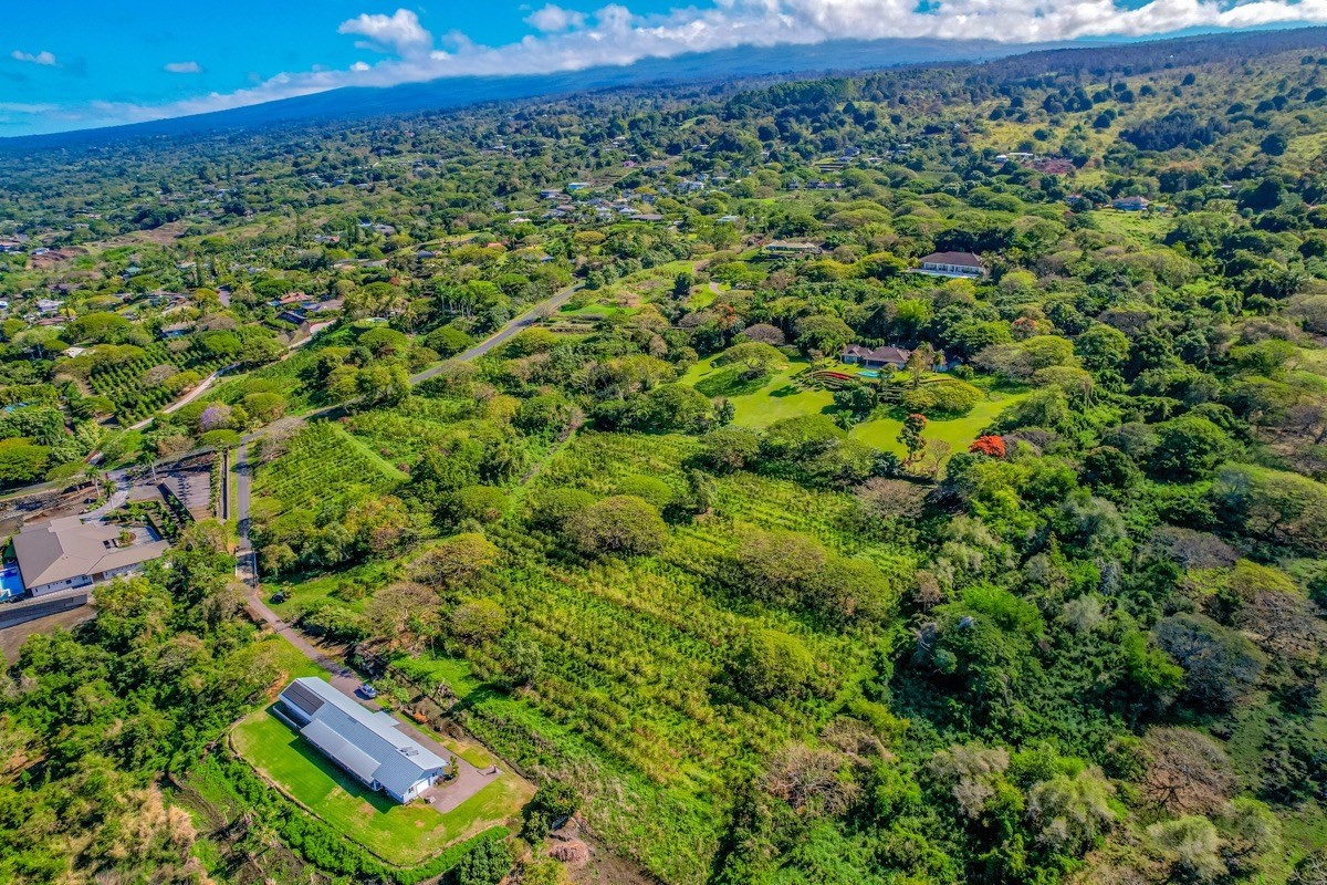 77-6307 Kaumalumalu Drive Holualoa, HI 96725 - Photo 12 of 21 a view of a yard with a tree