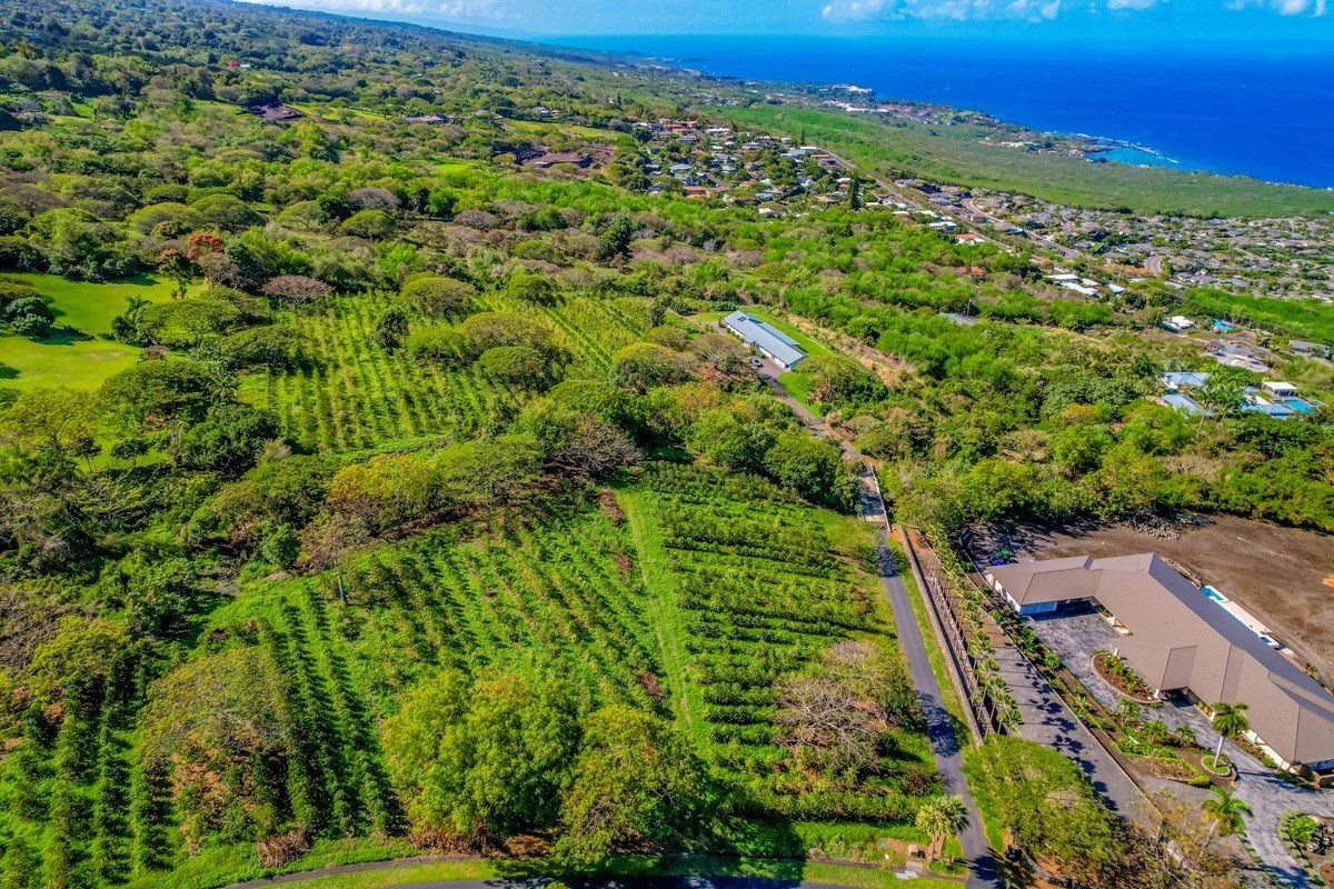 77-6307 Kaumalumalu Drive Holualoa, HI 96725 - Photo 13 of 21 an aerial view of residential houses with outdoor space and trees