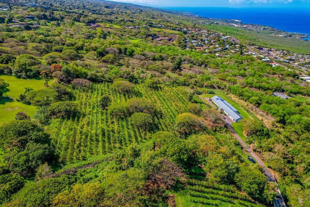77-6307 Kaumalumalu Drive Holualoa, HI 96725 - Photo 14 of 21 an aerial view of residential houses with outdoor space and trees