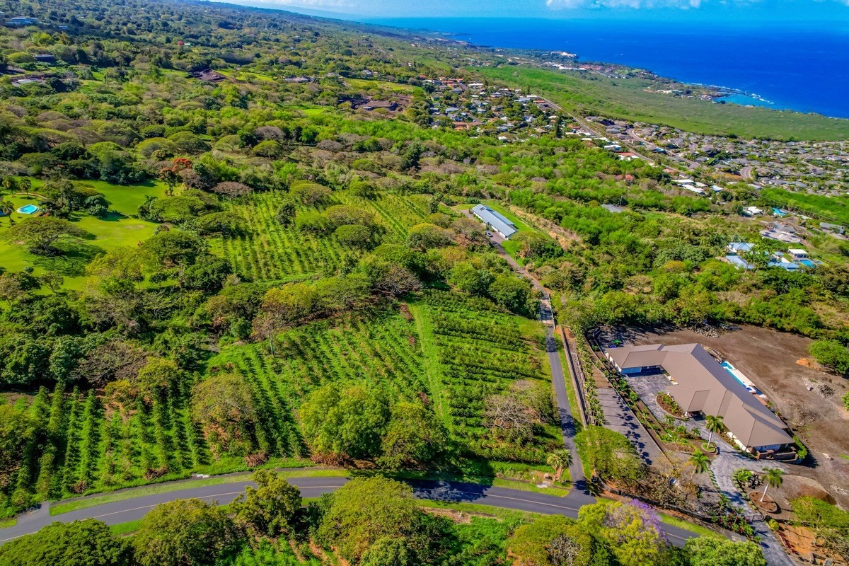 77-6307 Kaumalumalu Drive Holualoa, HI 96725 - Photo 16 of 21 an aerial view of residential houses with outdoor space and trees