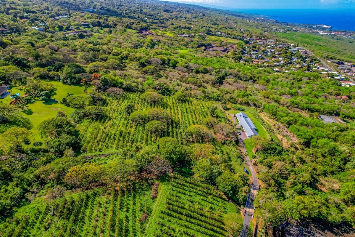 77-6307 Kaumalumalu Drive Holualoa, HI 96725 - Photo 17 of 21 a view of a green field