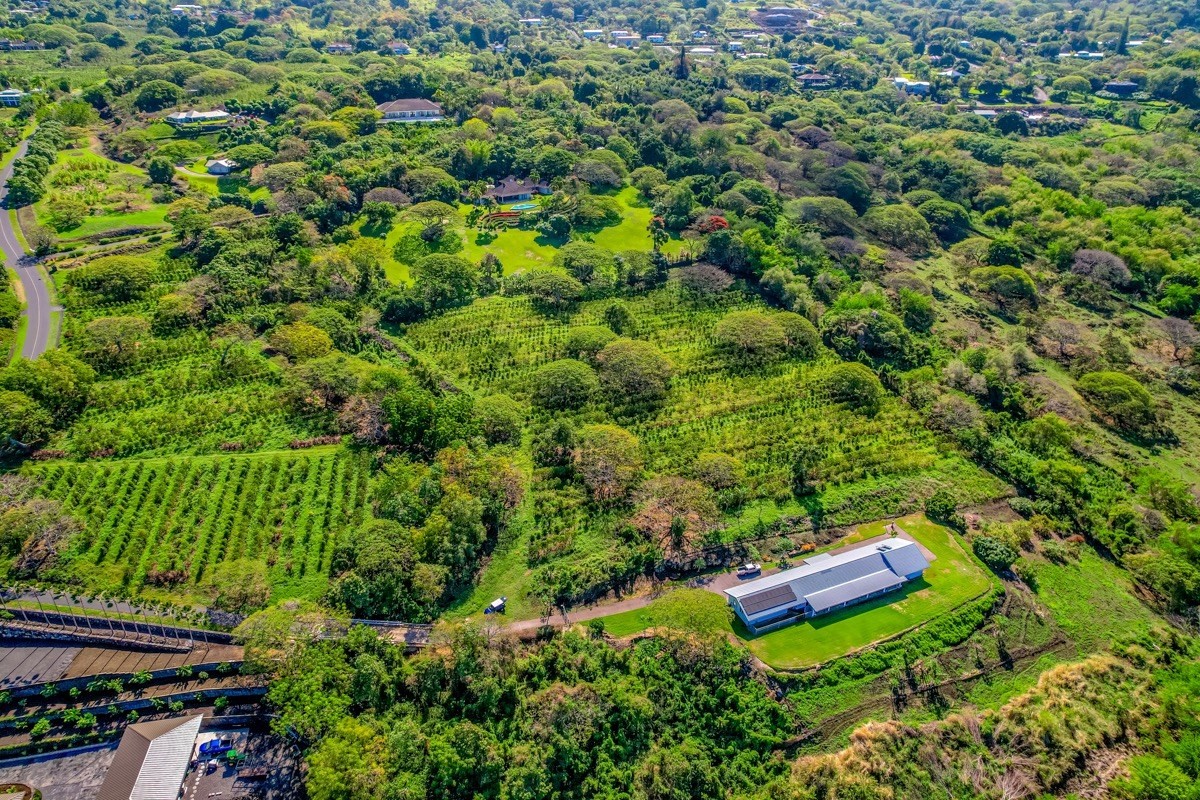 77-6307 Kaumalumalu Drive Holualoa, HI 96725 - Photo 19 of 21 a view of a garden with plants