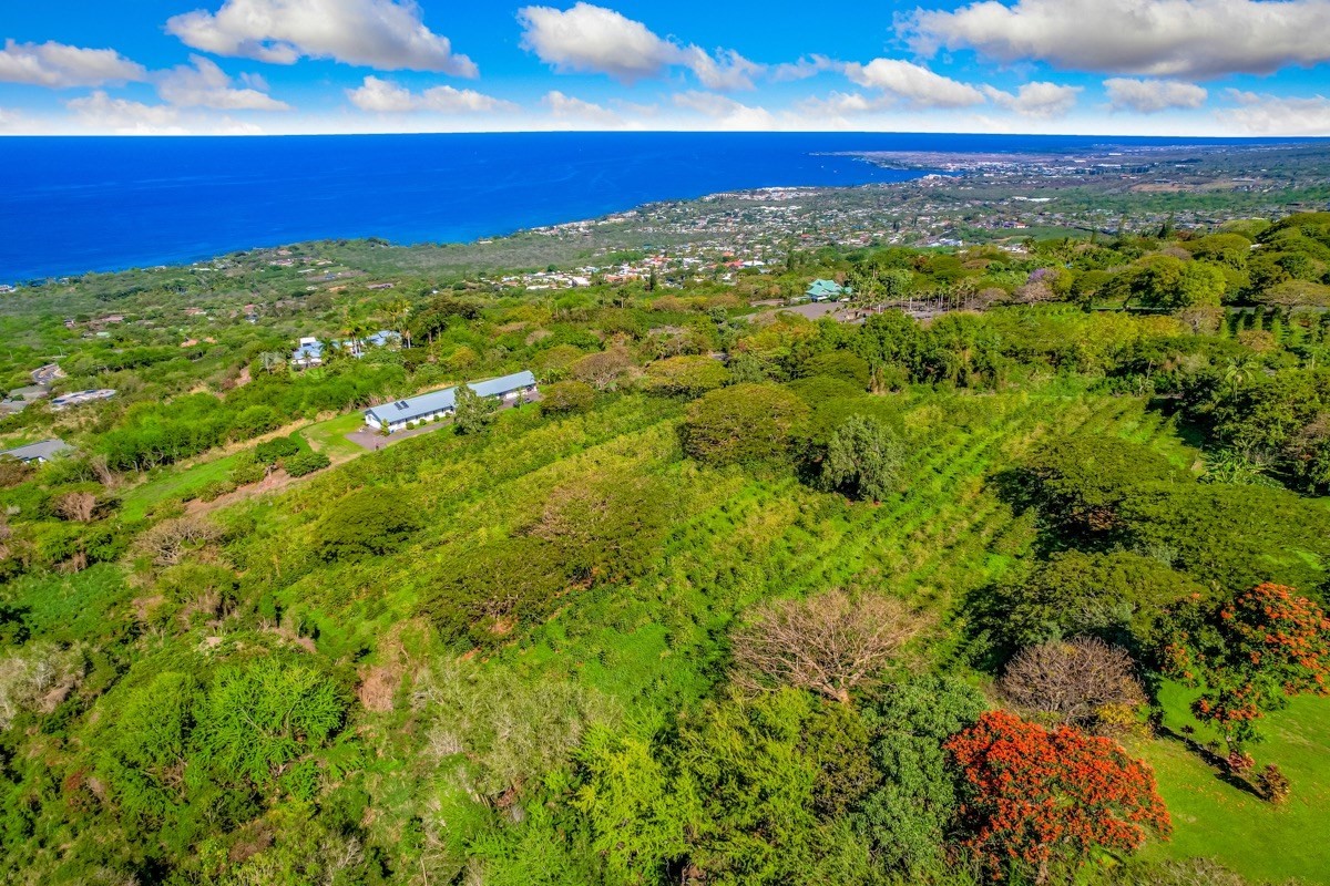 77-6307 Kaumalumalu Drive Holualoa, HI 96725 - Photo 2 of 21 a view of a field