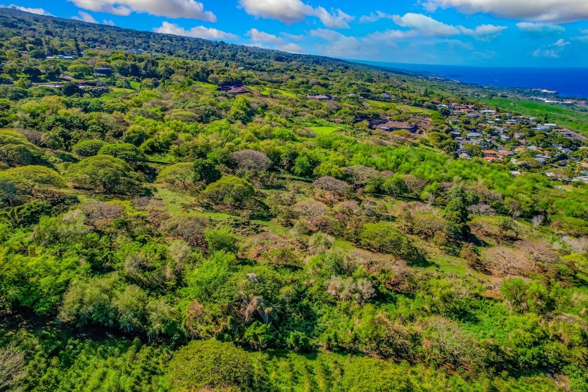 77-6307 Kaumalumalu Drive Holualoa, HI 96725 - Photo 21 of 21 a view of a green field with lots of bushes