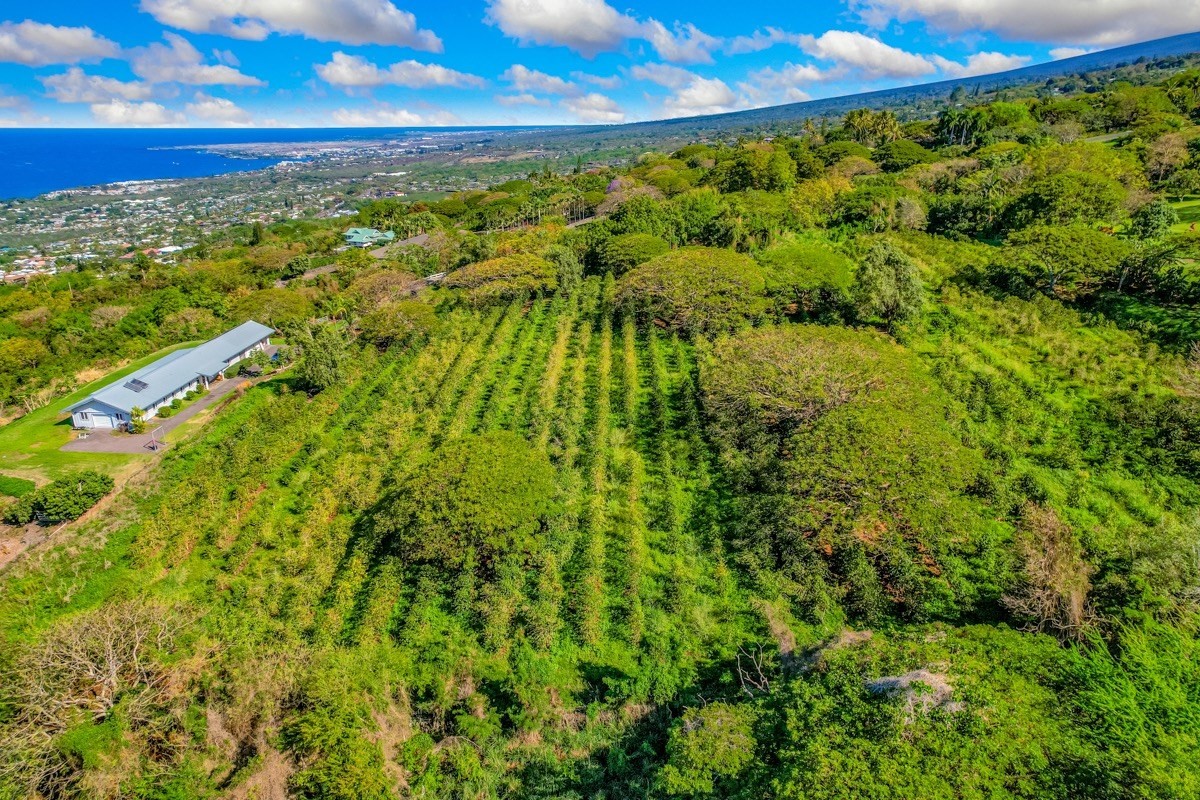77-6307 Kaumalumalu Drive Holualoa, HI 96725 - Photo 7 of 21 a view of a yard