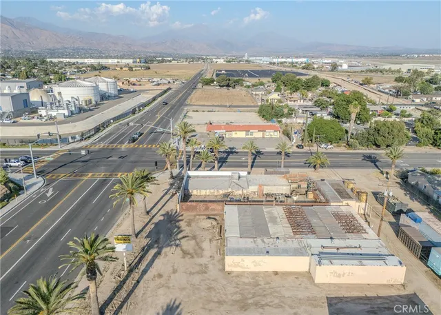 a row of palm trees and a yard