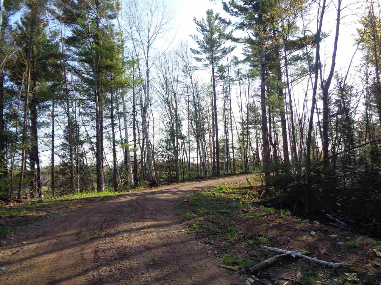 9.22-acres Upjohn Street Rib Lake, WI 54470 - Photo 1 of 1