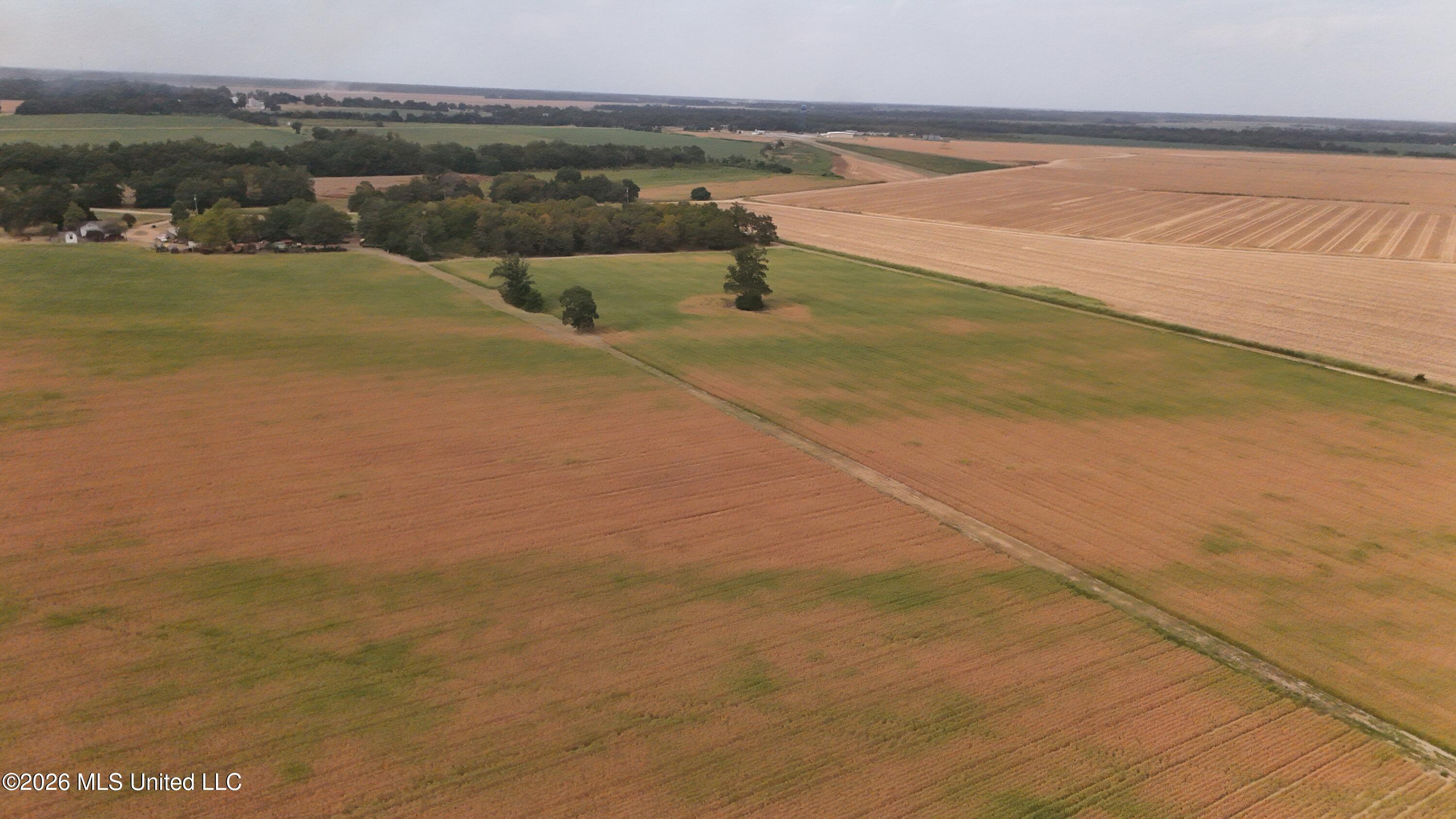 3342 Campbell Road Tutwiler, MS 38963 - Photo 16 of 25 DJI_20260820182407_0570_D