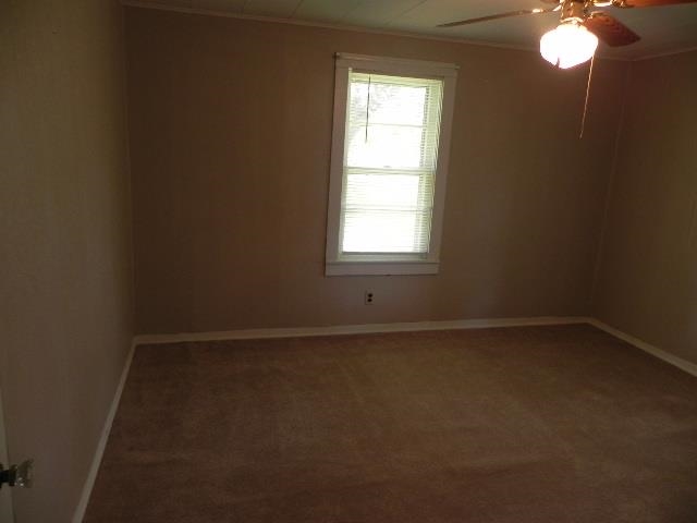 179 Orr Road Dyer, TN 38330 - Photo 7 of 9 Gallery Image 7