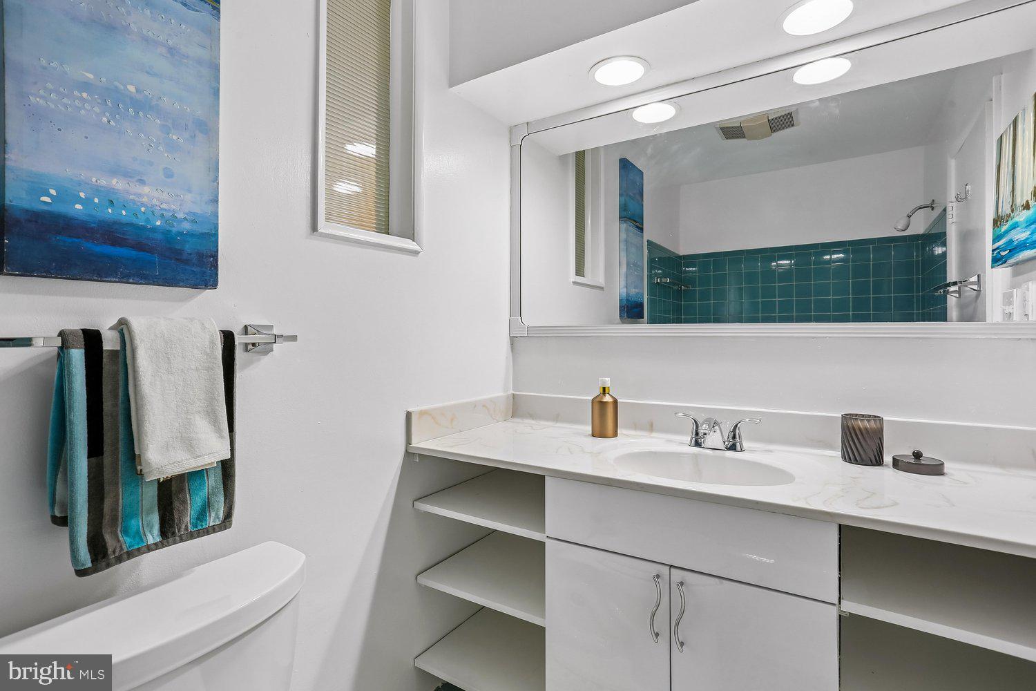 907 Hoyt Street Silver Spring, MD 20902 - Photo 38 of 69 a bathroom with a sink and a mirror