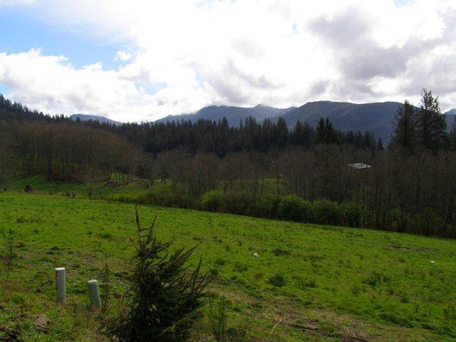 Lot 25 Skyview Road Tillamook, OR 97141 - Photo 17 of 21 P3180355.JPG