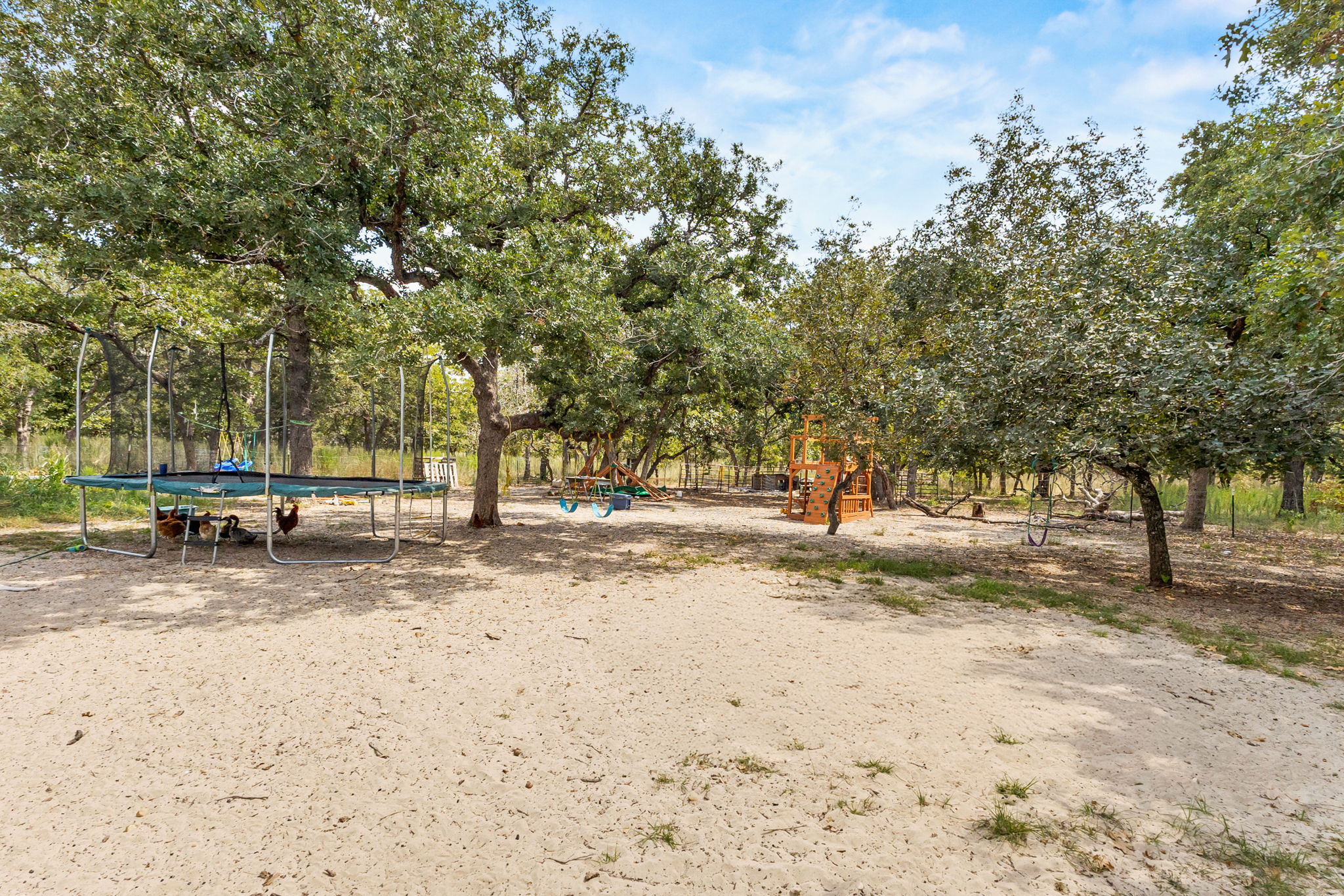 161 High Point Ridge Seguin, TX 78155 - Photo 20 of 23 a view of a yard with a tree