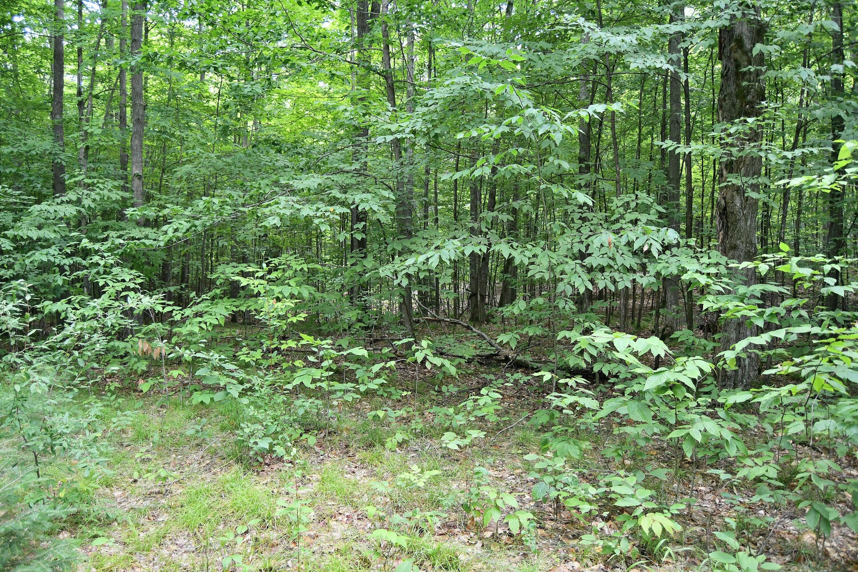 Maple Hill Fairview, MI 48621 - Photo 10 of 15 Gallery Image 10