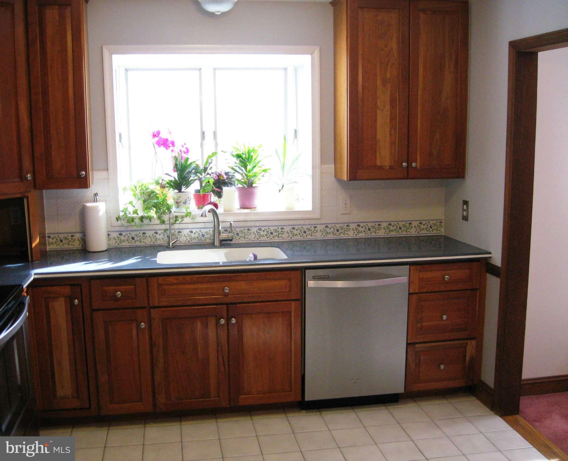 110 Rhett Court Elkton, MD 21921 - Photo 6 of 12 Kitchen