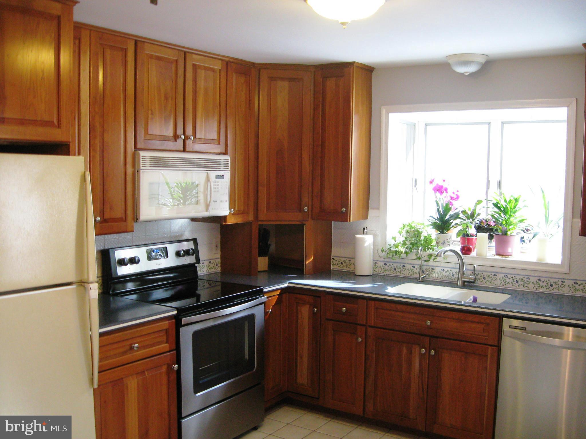 110 Rhett Court Elkton, MD 21921 - Photo 7 of 12 Kitchen