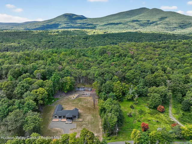 a view of a lush green hillside and a houses