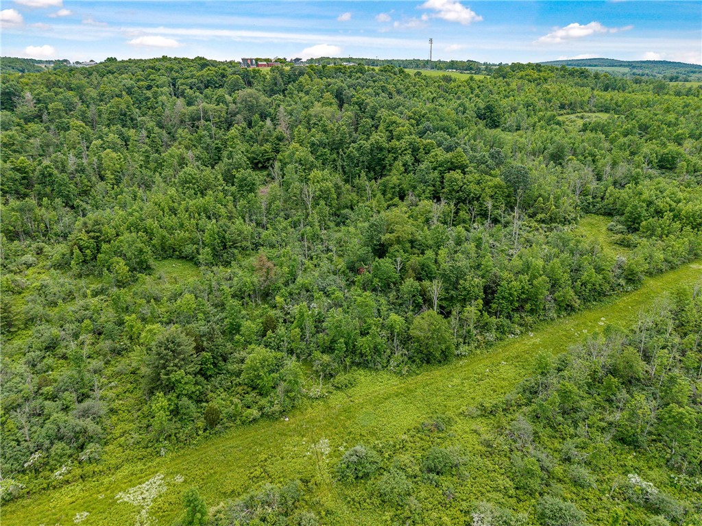 2868 Townsend Road Dix, NY 14891 - Photo 6 of 10