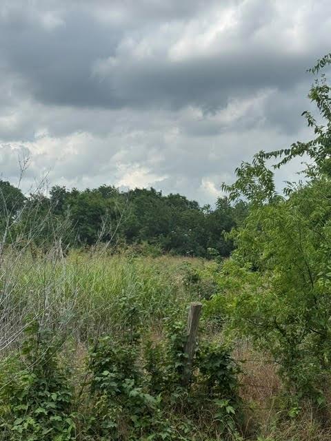 0 County Road 4219 Decatur, TX 76234 - Photo 3 of 7