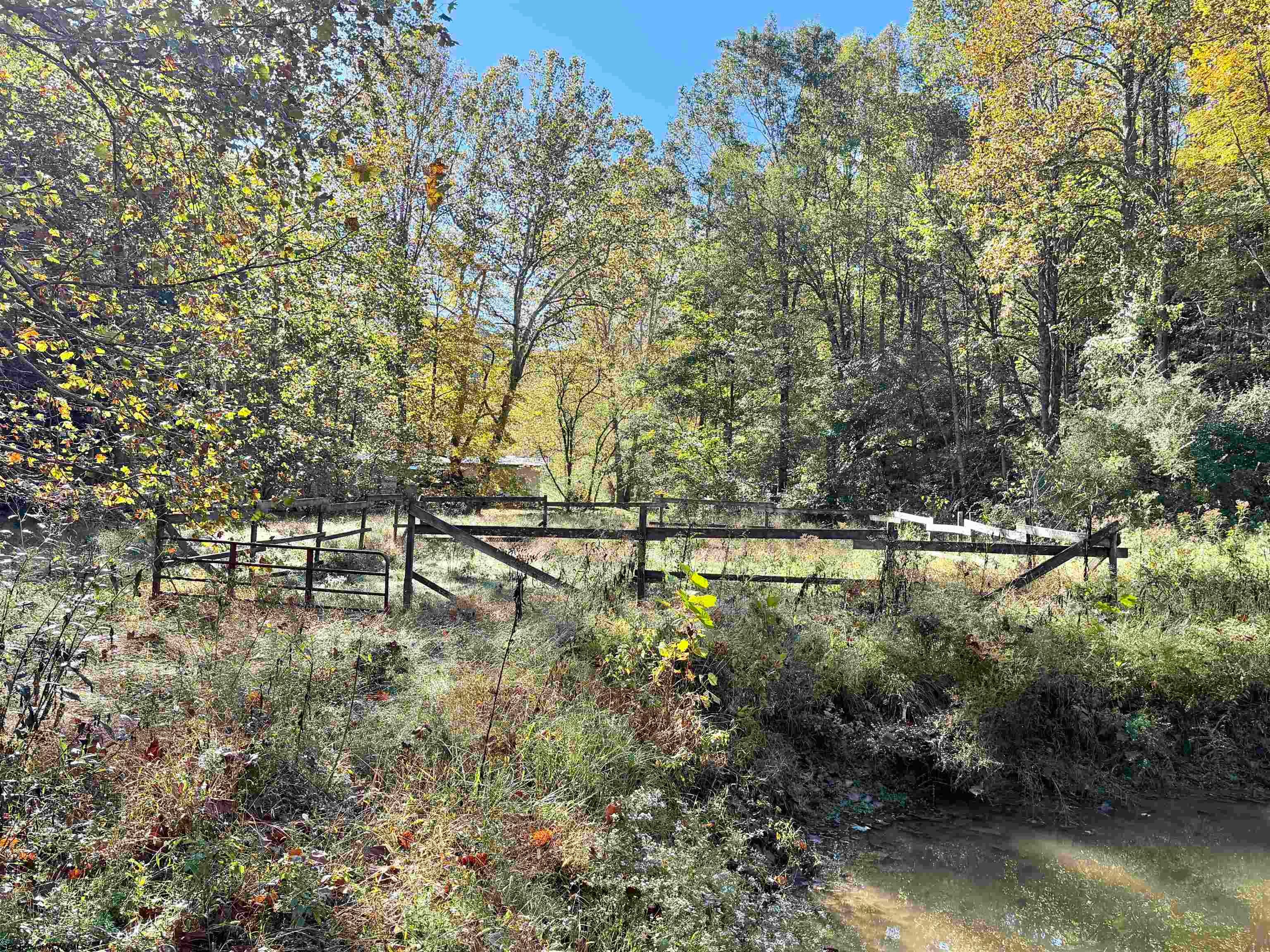317 Grove Summers Road New Milton, WV 26411 - Photo 9 of 26 Gallery Image 9